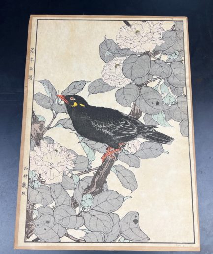 estampe japonaise ukiyo e merle oiseau luc hedin