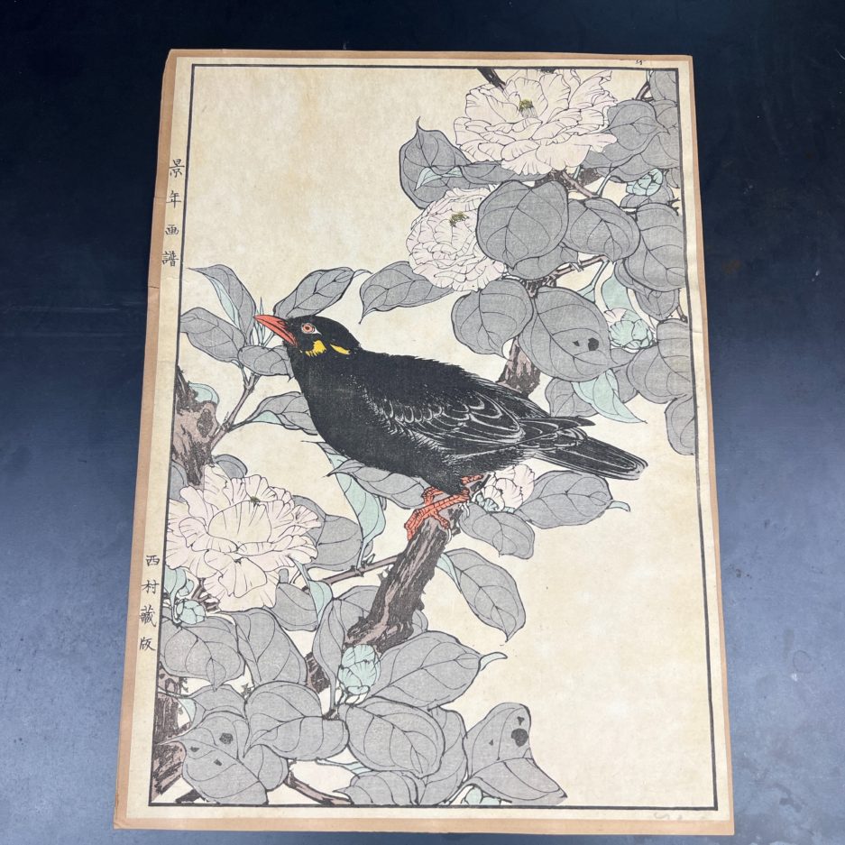 estampe japonaise ukiyo e merle oiseau luc hedin