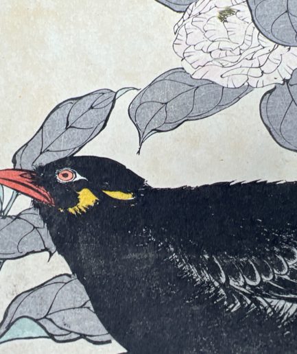 estampe japonaise ukiyo e merle oiseau luc hedin