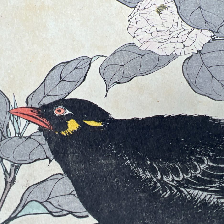 estampe japonaise ukiyo e merle oiseau luc hedin