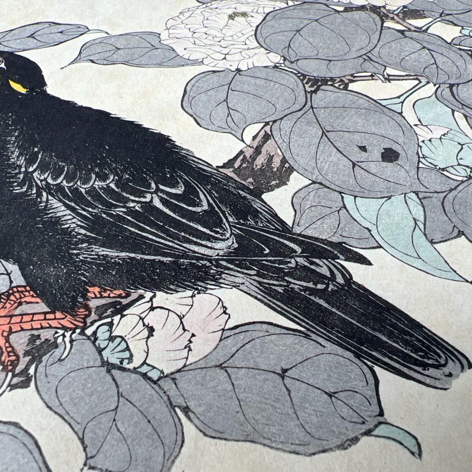 estampe japonaise ukiyo e merle oiseau luc hedin