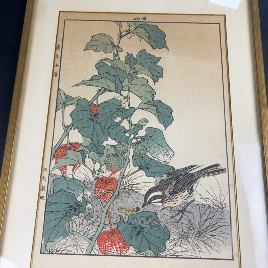 Estampe japonaise Luc Hédin Kogeiya oiseau feuillages art japonais ukiyo e