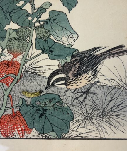 Estampe japonaise Luc Hédin Kogeiya oiseau feuillages art japonais ukiyo e