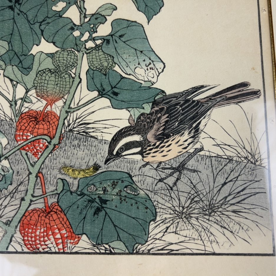 Estampe japonaise Luc Hédin Kogeiya oiseau feuillages art japonais ukiyo e