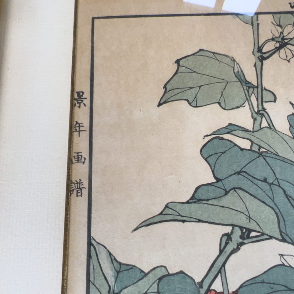 Estampe japonaise Luc Hédin Kogeiya oiseau feuillages art japonais ukiyo e