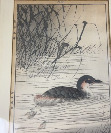 Estampe japonaise canard Luc Hédin Kogeiya oiseau feuillages art japonais ukiyo e