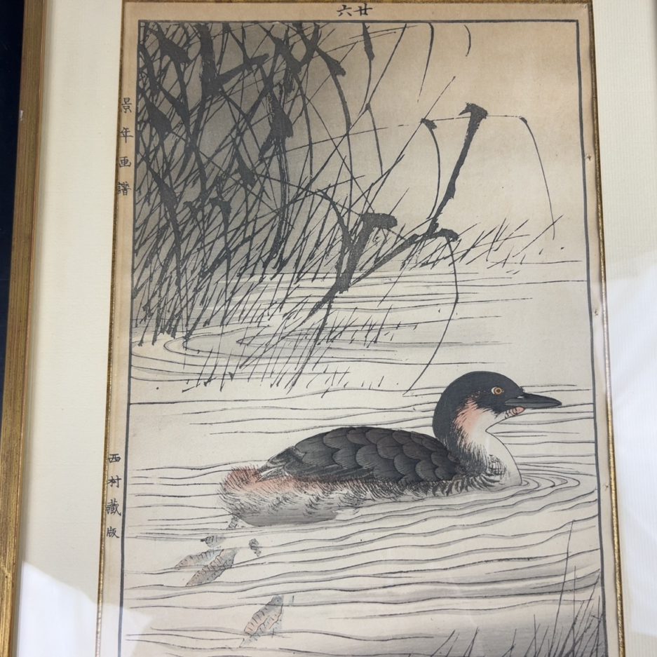 Estampe japonaise canard Luc Hédin Kogeiya oiseau feuillages art japonais ukiyo e