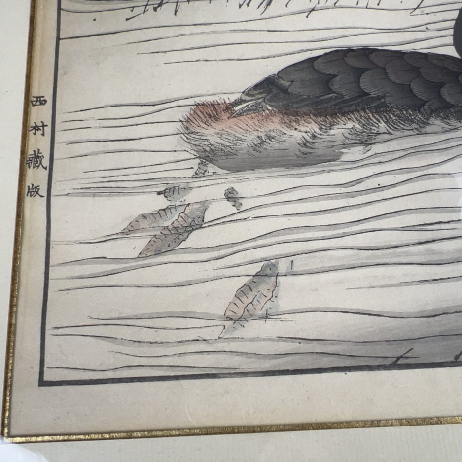 Estampe japonaise canard Luc Hédin Kogeiya oiseau feuillages art japonais ukiyo e