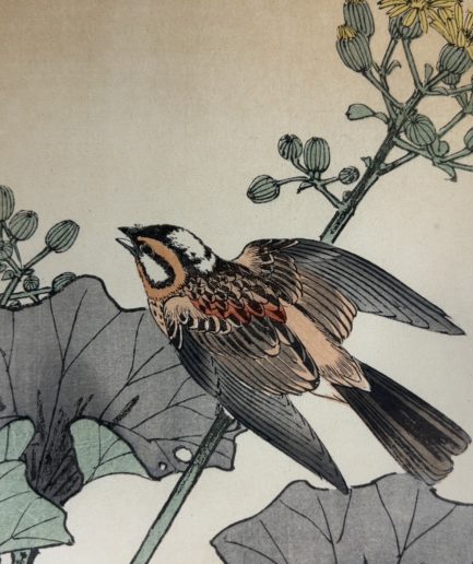 Estampe japonaise oiseau japon Luc Hédin Kogeiya oiseau feuillages art japonais ukiyo e