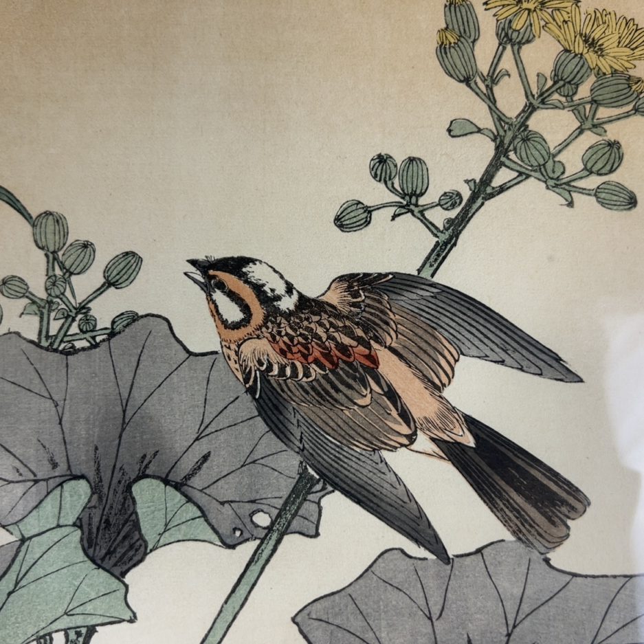 Estampe japonaise oiseau japon Luc Hédin Kogeiya oiseau feuillages art japonais ukiyo e