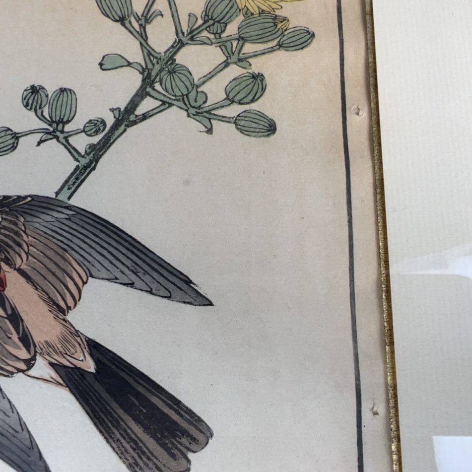 Estampe japonaise oiseau japon Luc Hédin Kogeiya oiseau feuillages art japonais ukiyo e