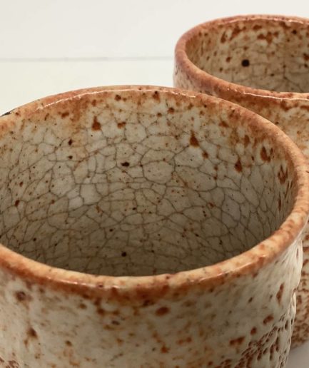 Tasses à thé japonaises Mino ware Shino ware Mizuno Shuzan