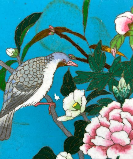 Plat cloisonné japon fleurs, pivoine et oiseau bleu turquoise