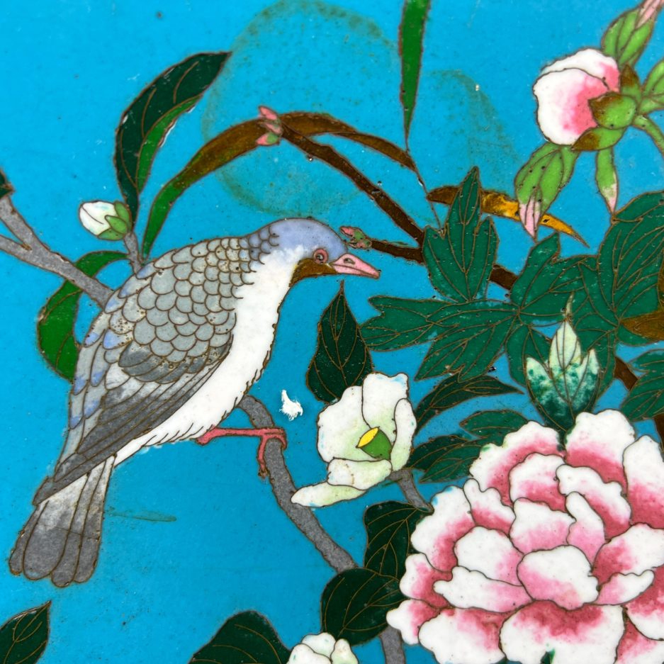 Plat cloisonné japon fleurs, pivoine et oiseau bleu turquoise