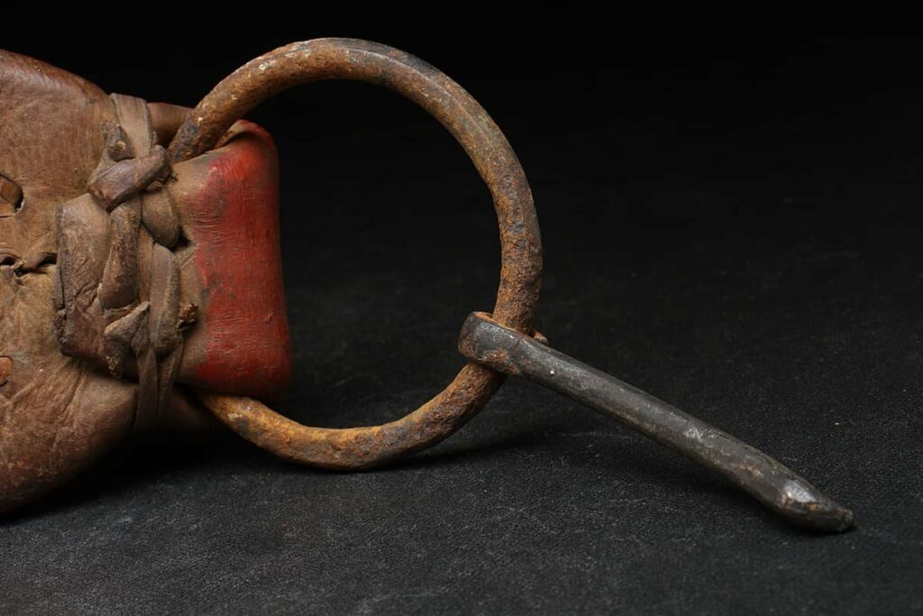 Hackamore pour Chevaux - Matériel d'Equitation