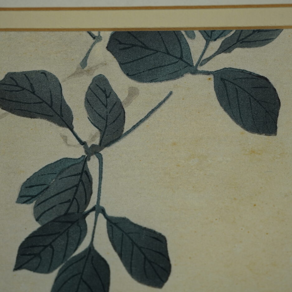 estampe ogata gekko oiseau fleurs de cerisier sakura Japon