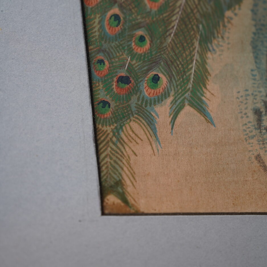 Estampe japonaise par Hiroshige encadrée tableau paon du Japon