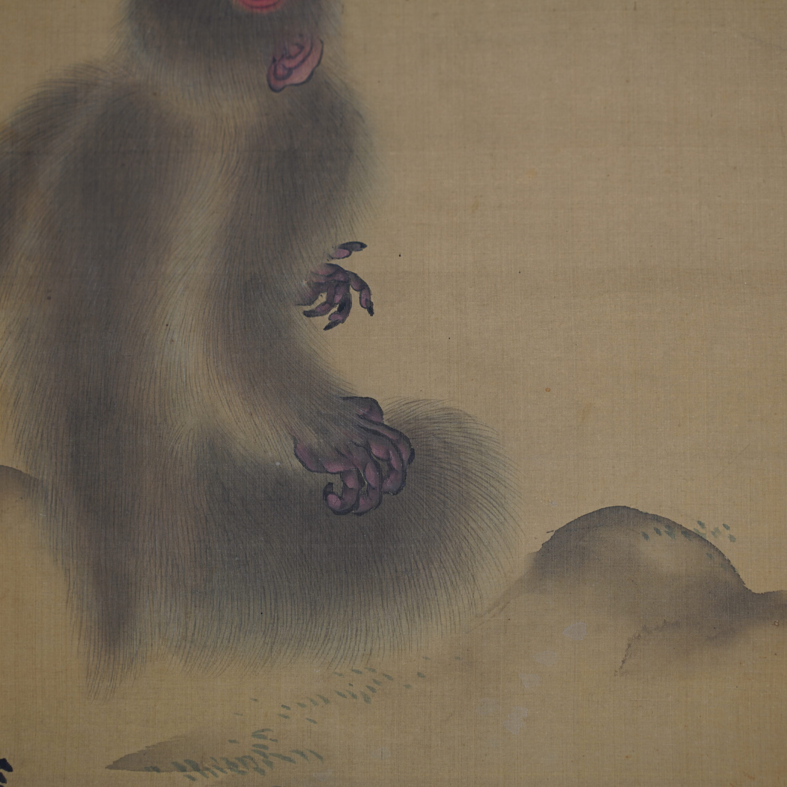 kakejiku-kakemono-singe-japonais-lune-baien-edo-luc-hedin-antiquaire-art-japonais-04586 Kakemono kakejiku singe Japon Baien I Luc Hédin antiquaire art japonais Kogeiya