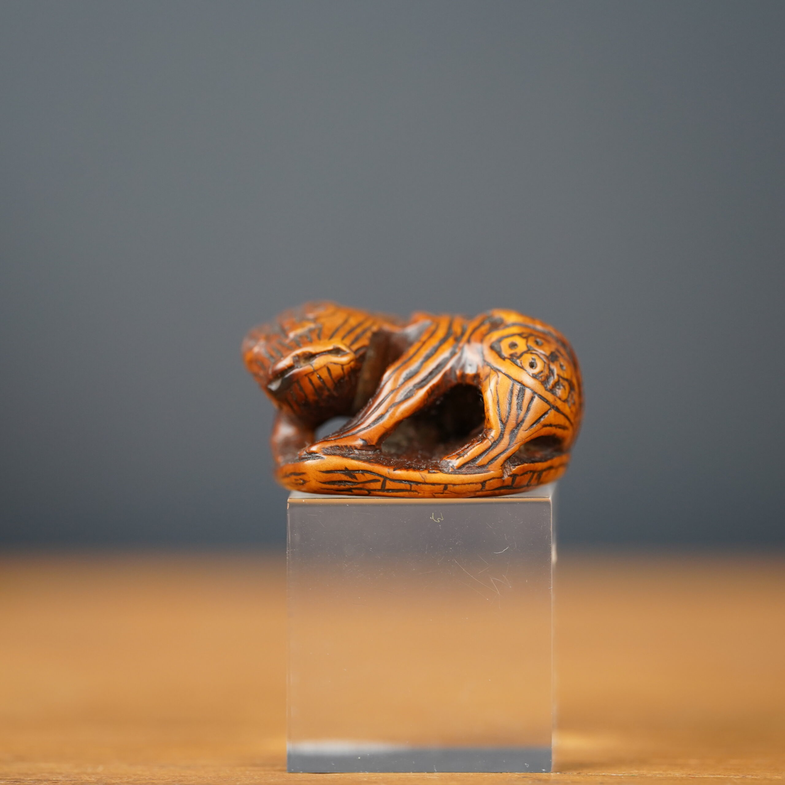 netsuke-japonais-shishi-ambre-edo-antiquaire-japon-06567