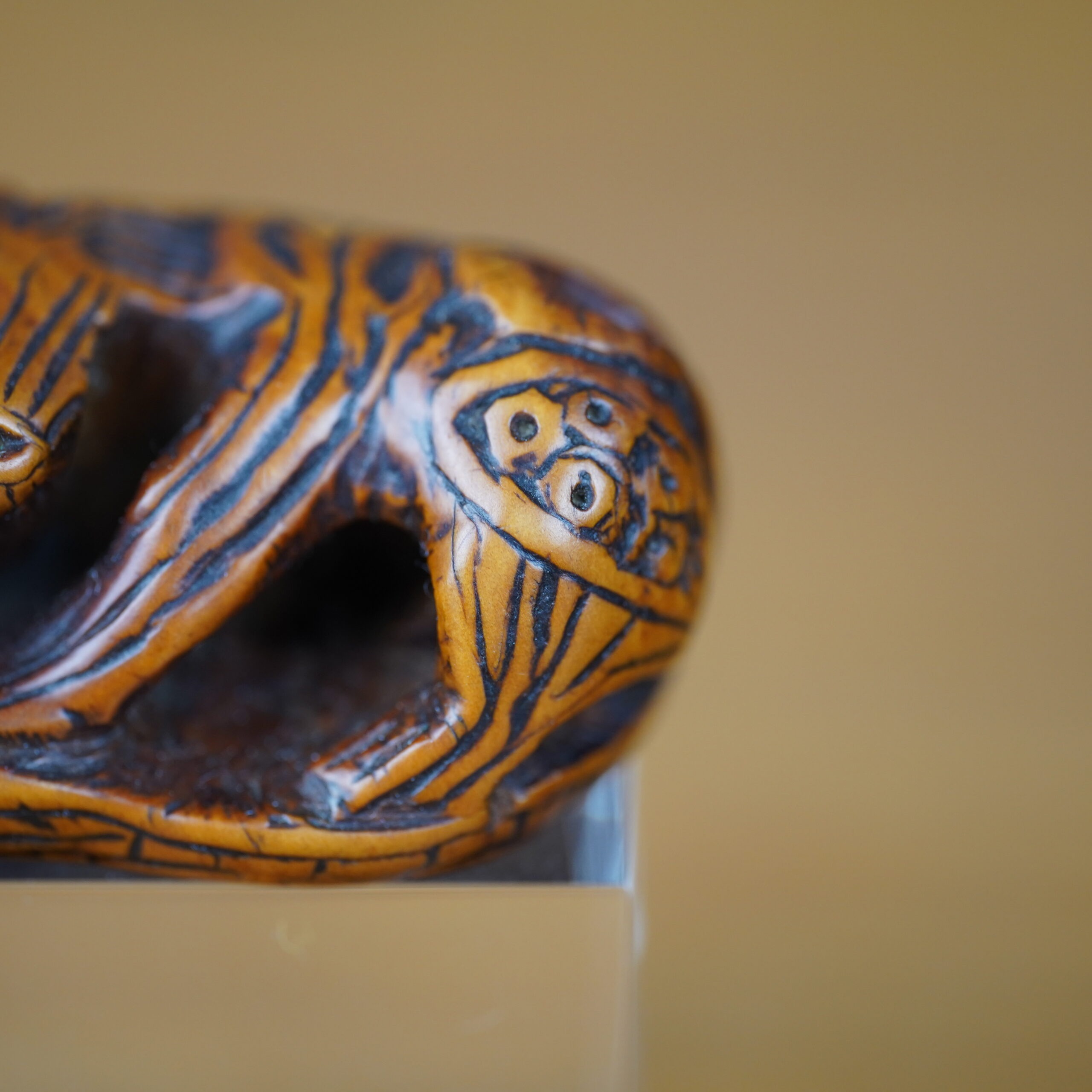 netsuke-japonais-shishi-ambre-edo-antiquaire-japon-06569