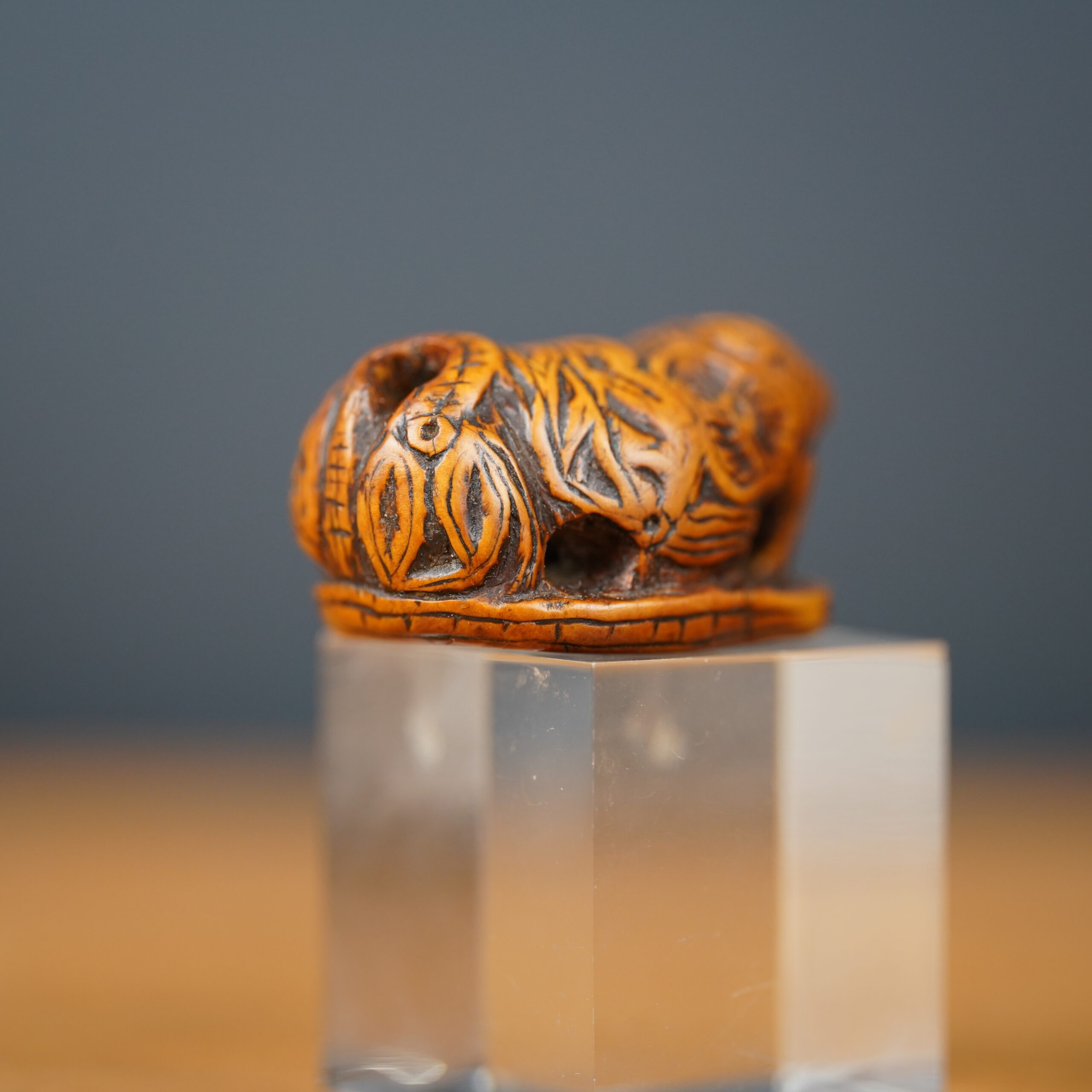 netsuke-japonais-shishi-ambre-edo-antiquaire-japon-06571