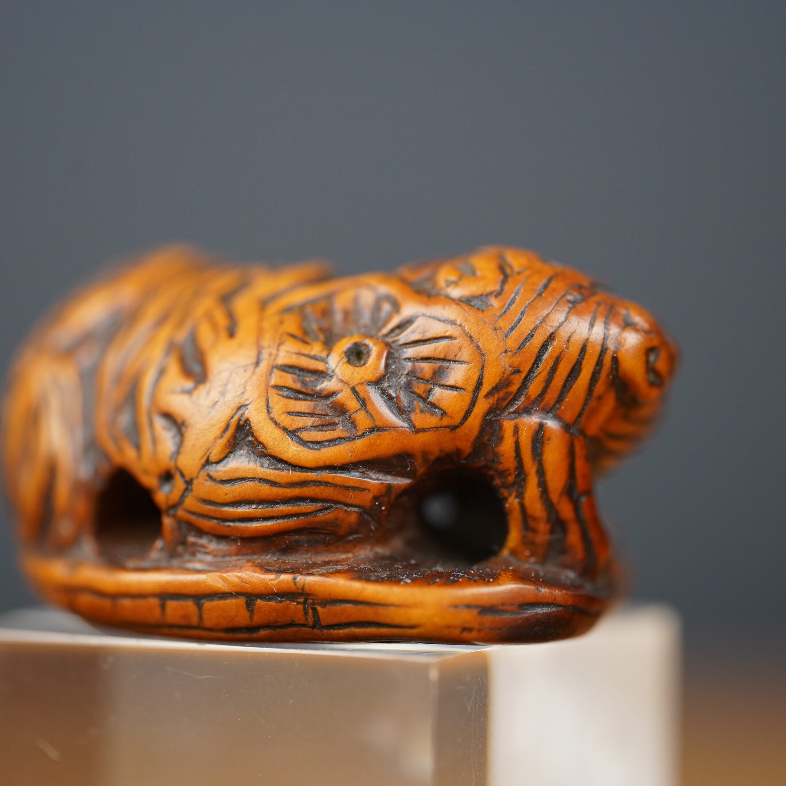 netsuke-japonais-shishi-ambre-edo-antiquaire-japon-06572